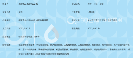 鄒城市潤通非融資性擔保及其業(yè)務解析